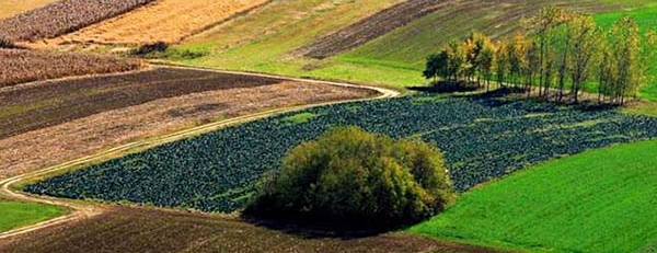 Slavnia