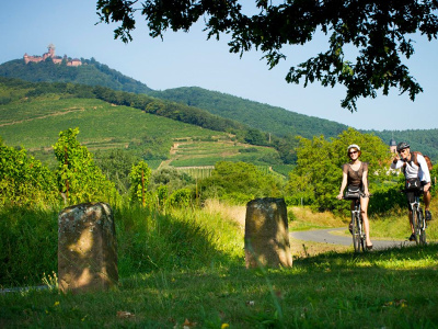 vnna cesta na bicykli