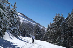 Vallnord nelyiari