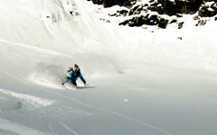 Freeride