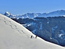 Saalbach freeride