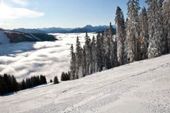 Ski amad
