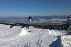 Freestyle