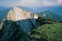 Lezenie