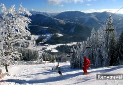 lyovanie