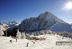 Zwieselalm