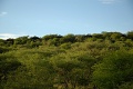 Kirawira Serena Camp, Serengeti zpad, Tanznia