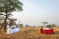 Kirawira Serena Camp, Serengeti zpad, Tanznia