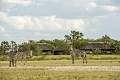 Maramboi Tented Camp, Tarangire