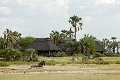 Maramboi Tented Camp, Tarangire
