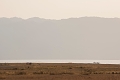 Maramboi Tented Camp, Tarangire