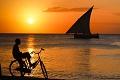 Kichanga Lodge, Michamvi Pingwe, Zanzibar