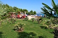 Vilky Dalamatian Stars, Solaris - ibenik
