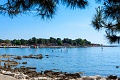Hotel Sol Aurora, Umag