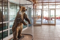 Hotel Jezero, Plitvice