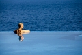 Vitality Hotel Punta, Veli Loinj