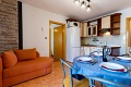 Apartmny ani, Lopar