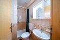 Apartmny ani, Lopar
