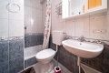 Apartmny ani, Lopar