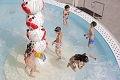 Family Hotel Vespera, Mali Loinj