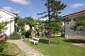 Vilky Corinthia, Baka