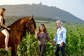 Hotel Le Clos Saint Vincent, Ribeauvill