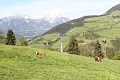 Villa Sll, Sll am Wilder Kaiser