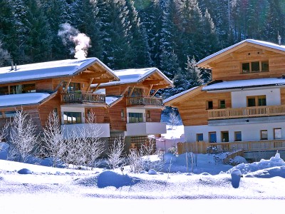 ubytovanie Alpin Chalet - Filzmoos, Ski Amad