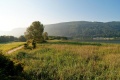 Seehotel Hoffmann, Steindorf am Ossiachersee