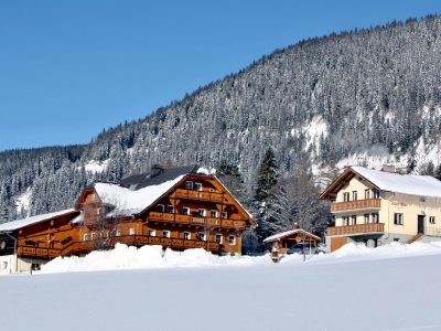 Penzin Rhrlehnerhof, Ramsau am Dachstein, Schladming