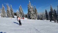 Chata Urbr, Martinsk Hole