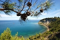 Wellness Hotel Apollo, Portoro