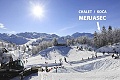 Chalet Merjasec, Vogel