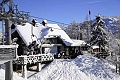 Chalet Merjasec, Vogel