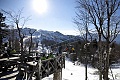Chalet Merjasec, Vogel