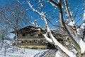 Activehotel Diana, Siusi allo Sciliar