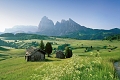 Activehotel Diana, Siusi allo Sciliar