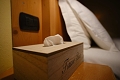 Hotel Bes, Claviere