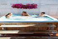 Hotel Conca Verde, Lignano