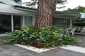 Hotel Smeraldo, Lignano