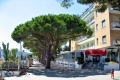 Hotel Mayola, San Bartolomeo al Mare