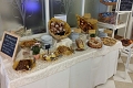 Hotel Mocambo, San Benedetto del Tronto