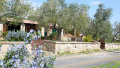 Il Borgo Centro Vacanze, Marina di Cecina