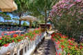 Park Hotel Marinetta, Marina di Bibbona