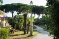 Park Hotel Marinetta, Marina di Bibbona