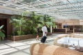 Park Hotel Marinetta, Marina di Bibbona