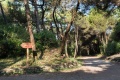 Park Hotel Marinetta, Marina di Bibbona