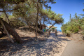 Park Hotel Marinetta, Marina di Bibbona