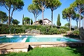 Villa Vigna, Grosseto