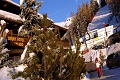 Sport Hotel Pampeago, Val di Fiemme
